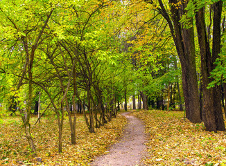 Naklejka premium bright autumn landscape