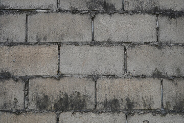 Wall Bock 