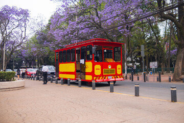 Classic red and yellow trolley car and jacaranda trees in Condesa, Mexico City