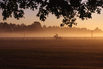 Early morning horse training.
