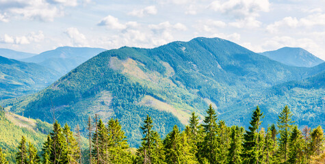 Fototapeta na wymiar Blue mountains and green hills panorama, nature landscape
