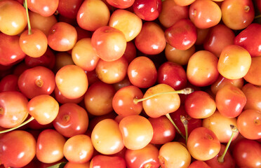 red and yellow cherries
