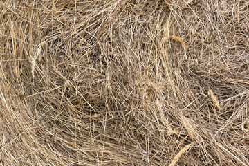Natural background from dry grass