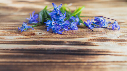 Obraz na płótnie Canvas Blue flowers on a simple wooden brown background. Copy Space