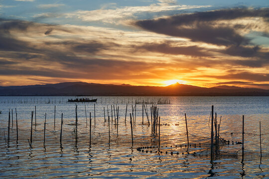 views of the albufera lake in valencia at sunset