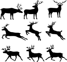 silhouettes of deer