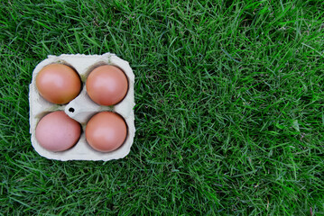Top view of brown eggs in an egg box on a green field with copy space