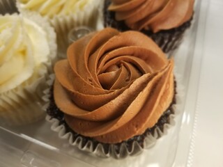 chocolate cupcake