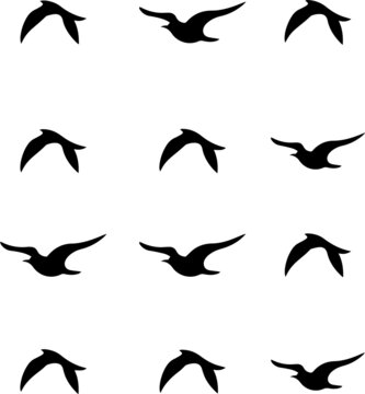 collection of birds set. flying birds, fly, black, icon, set, wings, wildlife design