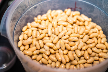 White Beans in a container