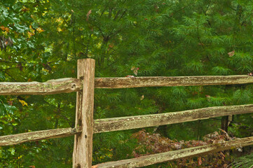 split rail fence and post, with moss and fungus grow on the surfaces,  in a forest, in blue ridge...