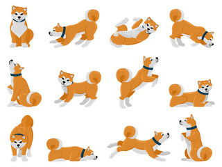 Cartoon akita dog daily routine, puppy pet walking, sleeping and howling. Domestic pet tricks, cute akita animal actions vector illustration set. Adorable akita breed dog - obrazy, fototapety, plakaty
