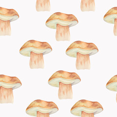 Set of  mushrooms. Fall watercolor illustration. Handdrawn elements. Watercolor seamless pattern.  Autumn Forest Mood. Fall watercolor illustration. Handdrawn elements. 