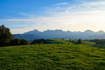 green meadows of the Allgau region in Bavaria with the Alps in the background (Hohenschwangau in Germany)	
