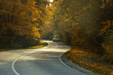 Road with school bus in beautiful autumn forest at sunset. - obrazy, fototapety, plakaty