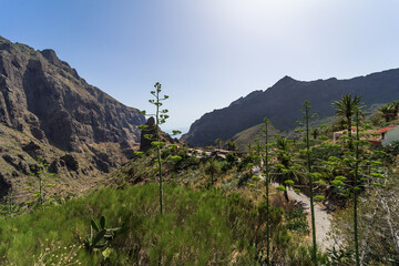 The Macizo de Teno mountains and Masca Gorge. View from the village of Maska. Tenerife. Canary Islands. Spain. - obrazy, fototapety, plakaty