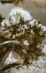 water flowing in the forest