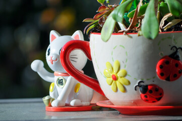China Cat Cactus Cup