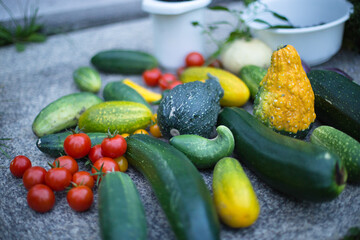 Harvest Zucchini Cherry Tomatoes Pumpkins Cucumbers Colorful