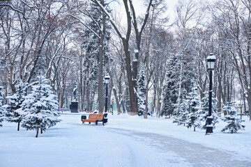 orange bench in the park in the snow in winter