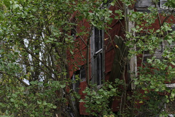 broken window in the woods