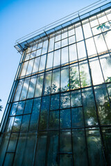 Fototapeta na wymiar blue reflection Botanical Garden Greenhouse