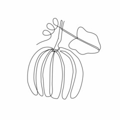 Abstract pumpkin with leaf in one line art drawing style. Black line sketch on white background. Vector illustration. Art design for prints, posters, clothes.