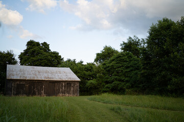 Cox's Creek - Farm