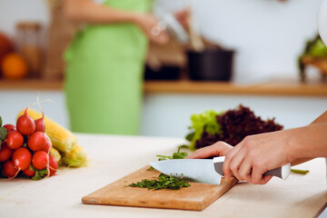 Unknown young woman slicing greens for a delicious fresh vegetarian salad while sitting and smiling at the kitchen desk, just hands, close-up. Cooking concept