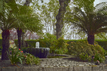 street photography of a garden area where we can sit and contemplate and rest surrounded by water...