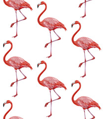 Seamless Pattern with hand-drawn Flamingo, digitally colored