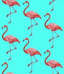 Seamless Pattern with hand-drawn Flamingo, digitally colored