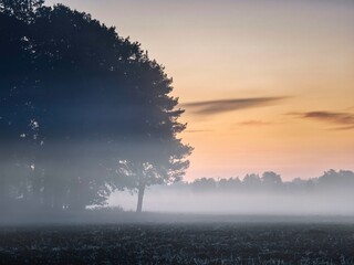 sunrise in the fog