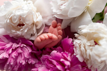 foot of a newborn baby. children's leg on the background of peonies