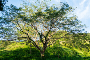 Fototapeta premium cascada de la media luna