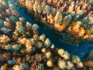 forest river