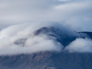 photos of mountains, sea ice, glaciers and oceans from the Canadian arctic
