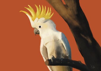 Cockatoo in a tree