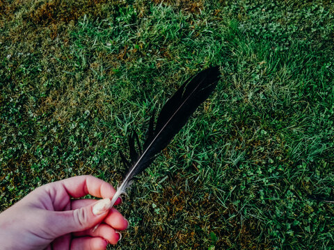 Hand holding a black feather against a green grassy background
