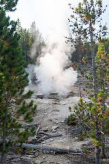 Arch Steam Vent in Yellowstone National Park