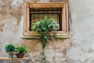 Fototapeta na wymiar A flower decorates a lattice window on an old wall in a pretty European city.