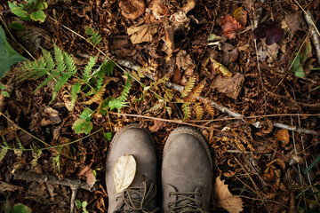 Top view of boots standing on autumn ground with dry leaves and fern. Hike background with copy...