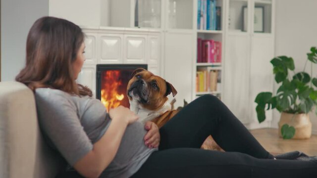 Beautiful pregnant woman with brown hair stitting in front of cosy fireplace stroking baby belly cuddle with dog shot in 4k