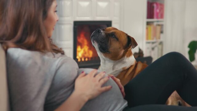 Beautiful pregnant woman with brown hair stitting in front of cosy fireplace stroking baby belly cuddle with dog shot in 4k