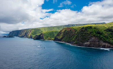 Vue d'avion des falaises de Big Island et sa plage de sable noir, Hawaii