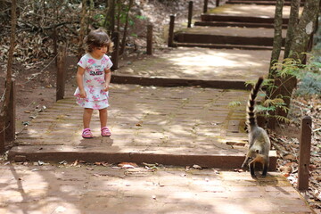 Criança menina brincando com quatis