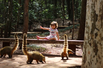 criança com quatis