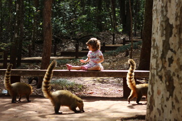 criança com quatis