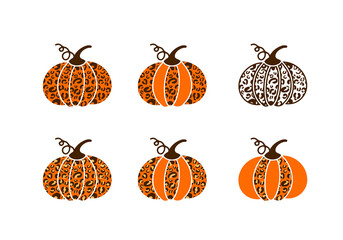 Leopard pumpkin bundle.  Cute autumn decorations. Vector template for Thanksgiving Day, Halloween, harvest festival, etc
