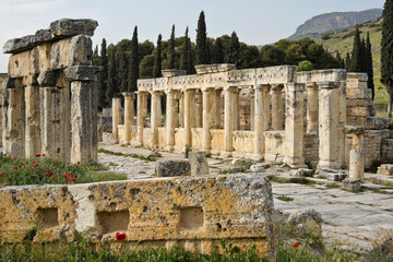 Ruins of colonnaded stone street and latrines in necropolis of former Roman city of...